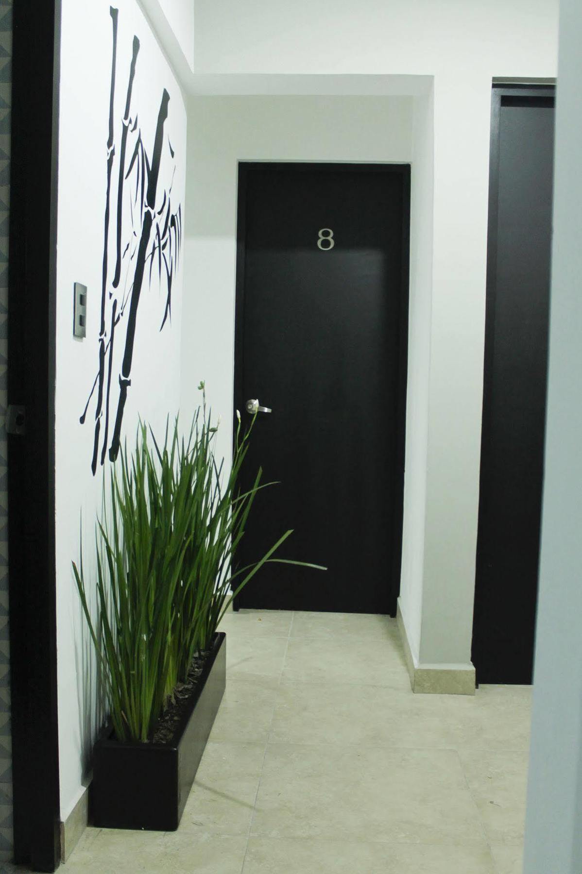 Hostal Be Condesa Mexico Extérieur photo