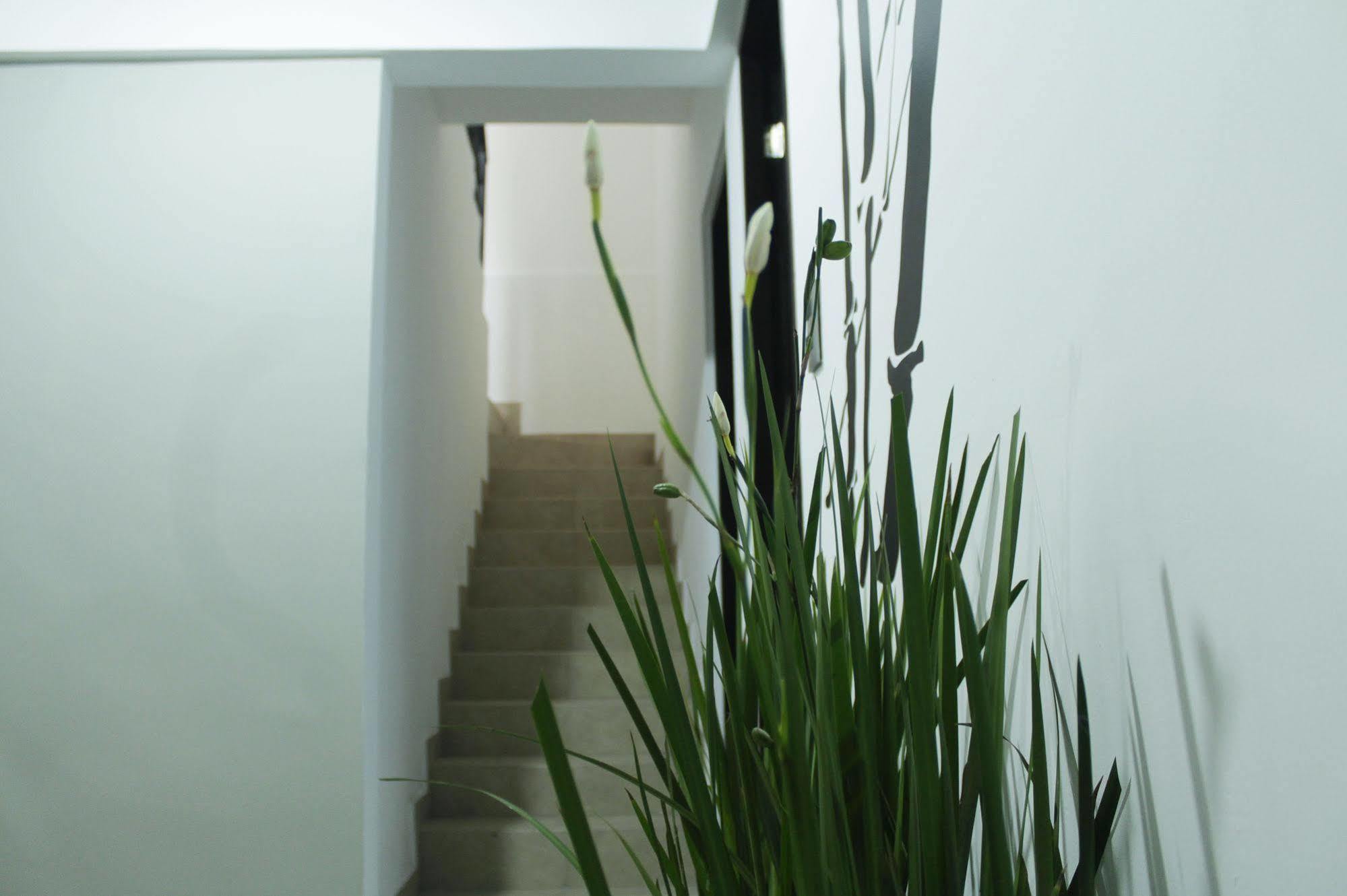 Hostal Be Condesa Mexico Extérieur photo